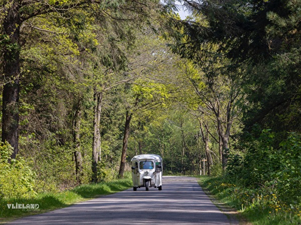 groen bos met tuk tuk