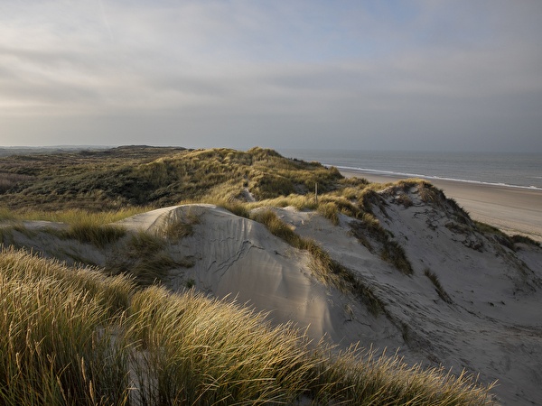 Foto van wilde duinen en de Noordzee op de achtergrand