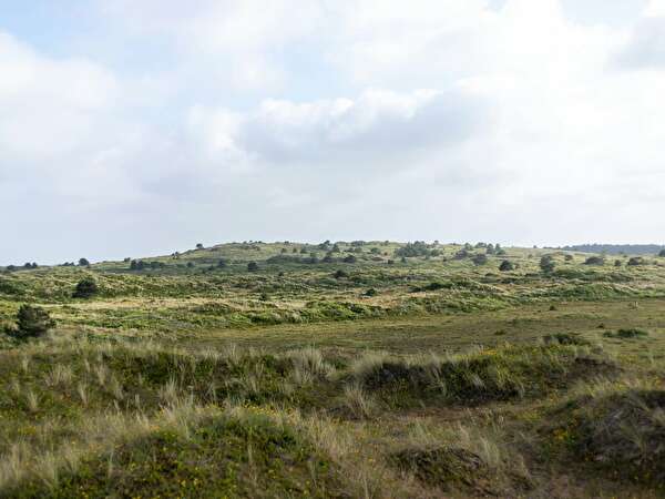 Landschap van Vlieland met gras 