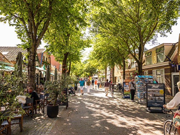 Foto van de Dorpsstraat van Vlieland met veel groen in de zomer