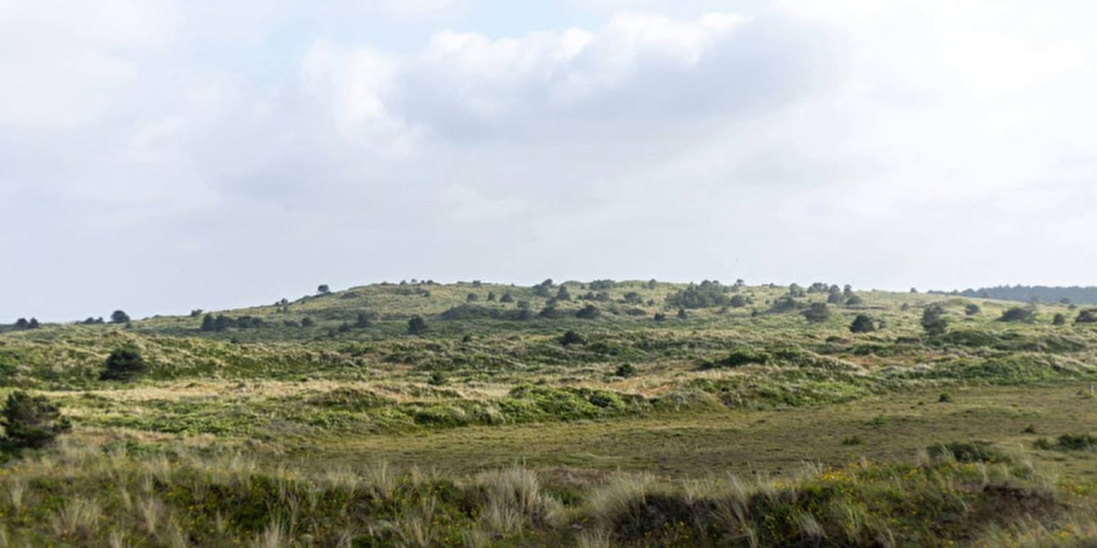 Foto van Vlieland