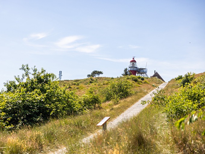 Landschaft von Vlieland mit Gras und dem Leuchtturm